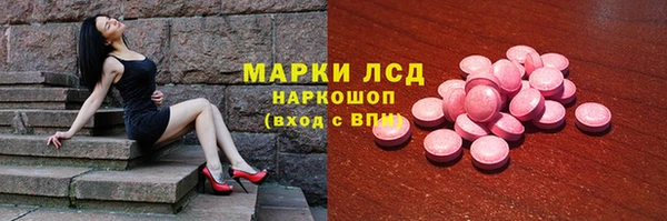 хмурый Алзамай