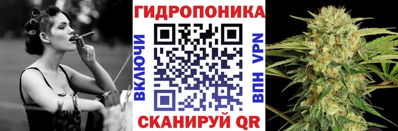 Шишки марихуана Ganja  Заволжск 